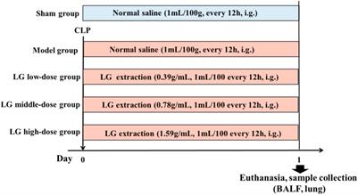 Liang-Ge decoction ameliorates acute lung injury in septic model rats through reducing inflammatory response, oxidative stress, apoptosis, and modulating host metabolism